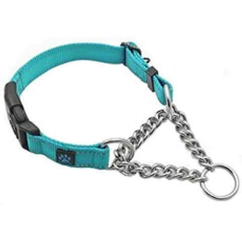 Stainless Steel Chain Martin Collar - We donate collar on a structure for all colors. (Small TEAL), Small, TEAL