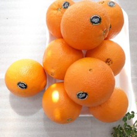 (과일천국) 고당도 오렌지 (대과), 20과