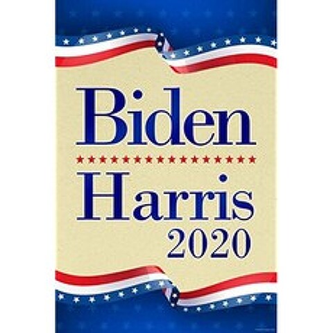 Biden Harris 2020은 대통령 투표 민주당 대통령 선거 선거 캠페인 미국 (Biden Harris 2020 Campaign 13873 Poster 24x36 in.), 본상품, 본상품