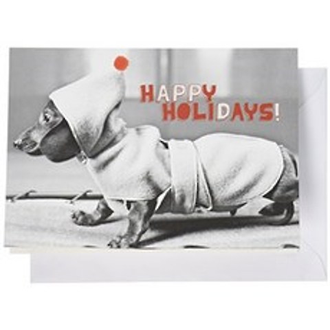 Nouvelles 이미지 Holiday Boxed Note Card Set Dachshund in Coat (XDB 381), 단일옵션