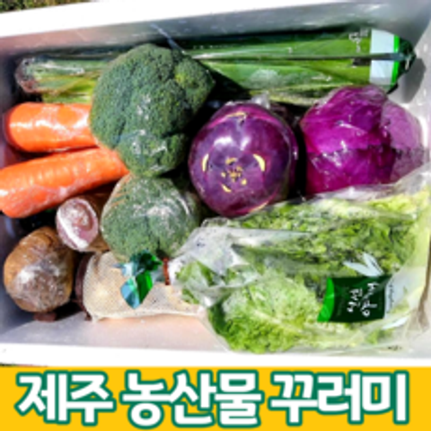 제주 농산물꾸러미 모듬야채 비트 당근 콜라비 브로콜리 양파 대파 단호박 적채 귤, 5종