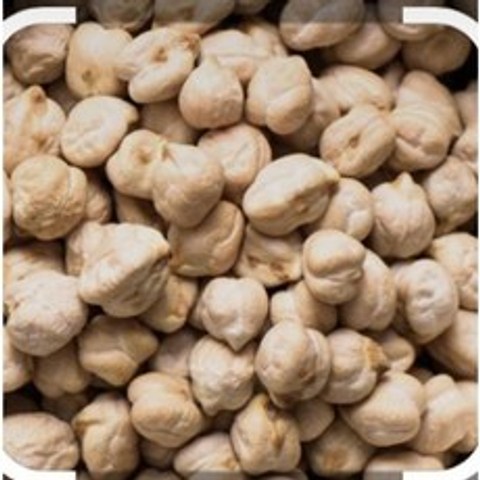 S.N. FOOD WHITE CHANA CHICK PEAS(화이트차나)병아리콩 900G 미얀마