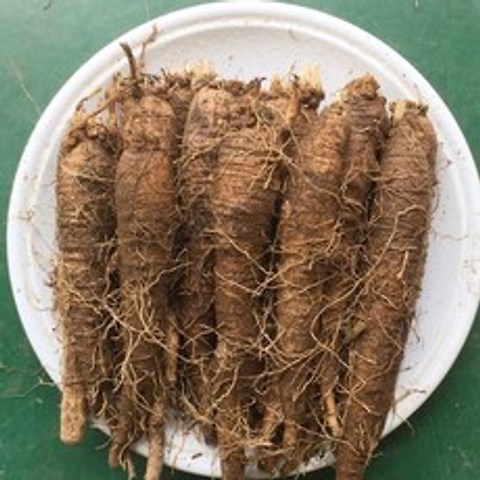 횡성더덕농장 농가직거래 횡성더덕(특)1kg(15~20뿌리), 1개, (특)1kg(15~20뿌리)