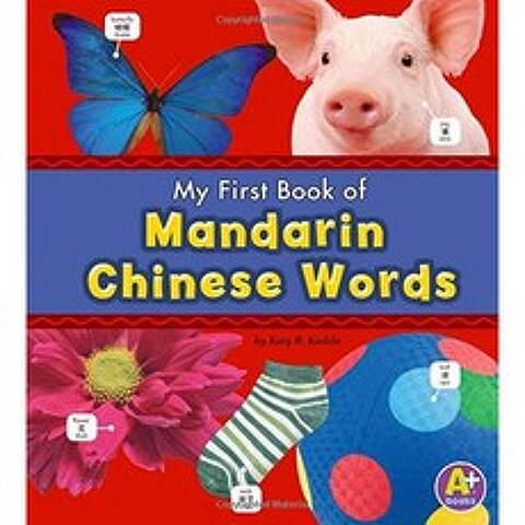 나의 첫 만다린 중국어 단어 책 (이중 언어 그림 사전), 단일옵션