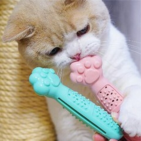 힘을내요집사 고양이 이갈이 장난감 새끼 유치 이빨 치석 제거 칫솔 캣닢 포함, 1개, 핑크