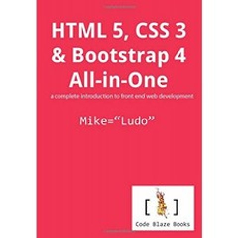 HTML 5 CSS 3 및 Bootstrap 4 올인원 : 프런트 엔드 웹 개발에 대한 완전한 소개, 단일옵션