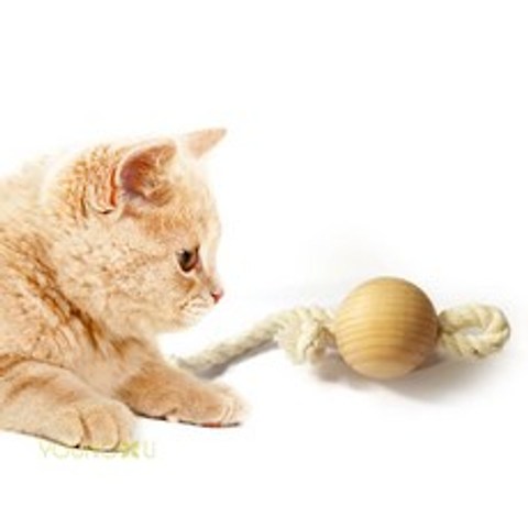 코코브라운 고양이장난감 힐링타임 히노끼(편백나무) 로프원형볼-1pcs, 로프원형, 1pcs