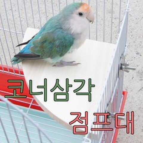 아디펫샵 앵무새 다람쥐 삼각 점프대 평상, 1개