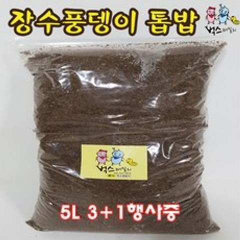 장수풍뎅이 톱밥 특가판매5L, 1개