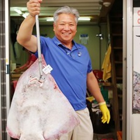 삿갓유통 알싸하게 삭힌 국산 참홍어 (흑산도 수협 중매인 출신) 홍어, 1박스, 1kg