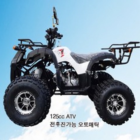 woorimotors 125cc ATV-A형 사륜오토바이 레저용 농업용 효도상품, 하얀색, 125cc ATV