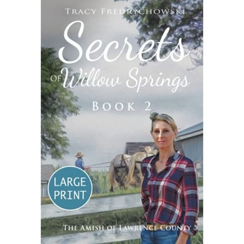 Willow Springs의 비밀-제 2 권 (큰 활자) : 로렌스 카운티의 아미쉬, 단일옵션