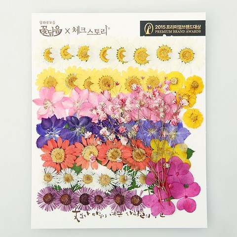 [체크스토리] 압화 꽃모음 - C타입 화원 꽃모음