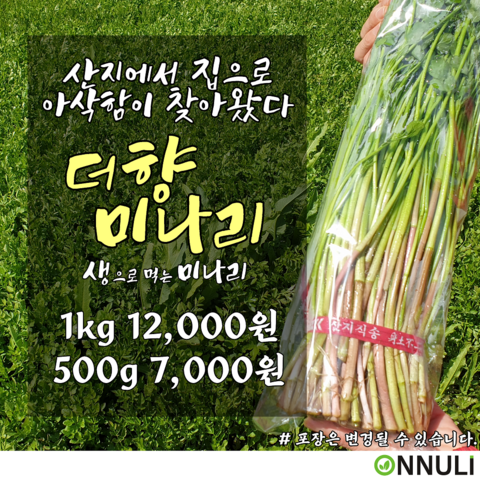 더향 미나리 생으로 먹는 미나리, 500g