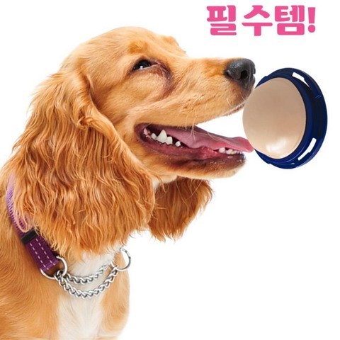 대형견 강아지용 벽 사탕 도그츕스 펫 간식 L 벽사탕, 1개