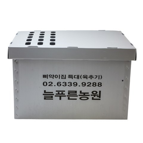 늘푸른농원 삐약이집 (특대형), 1개