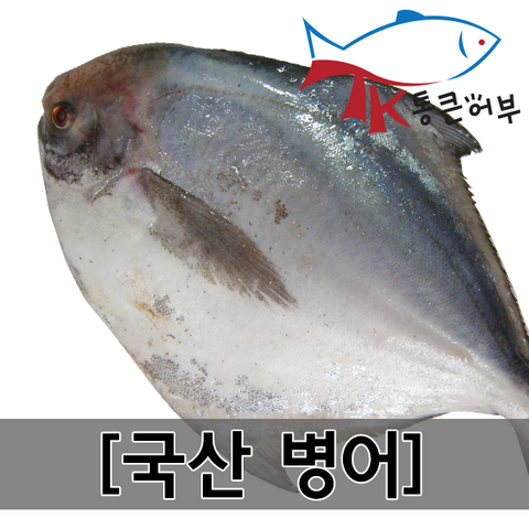 통큰어부 국산 싱싱한 병어 제수용병어 병어조림, 1마리, 220-230g