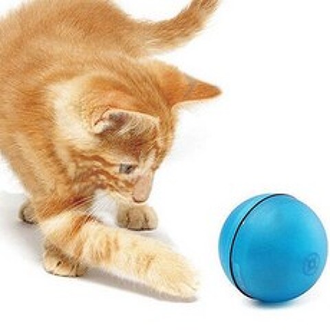 논다 고양이 LED 자동회오리 장난감, PT2003, 블루