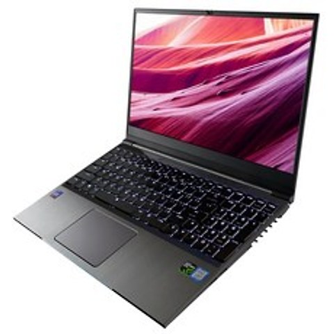 한성컴퓨터 노트북 TFG156 (i7-8750H 39.62 cm), 혼합색상
