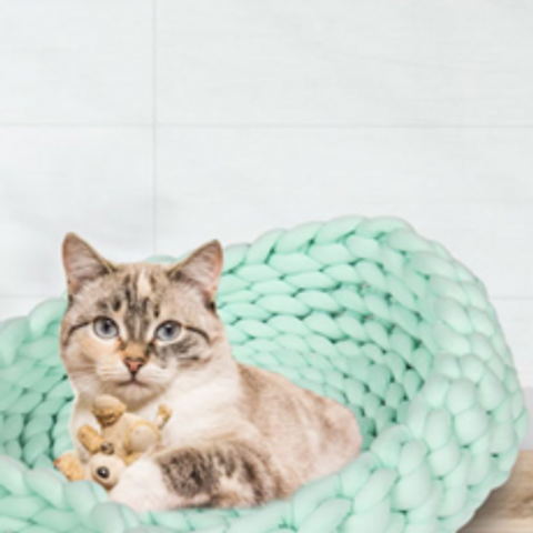 딩동펫 고양이 왕뜨개 방석, 민트