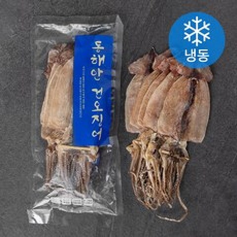 동해안 건오징어 10마리 (냉동), 480g, 1봉