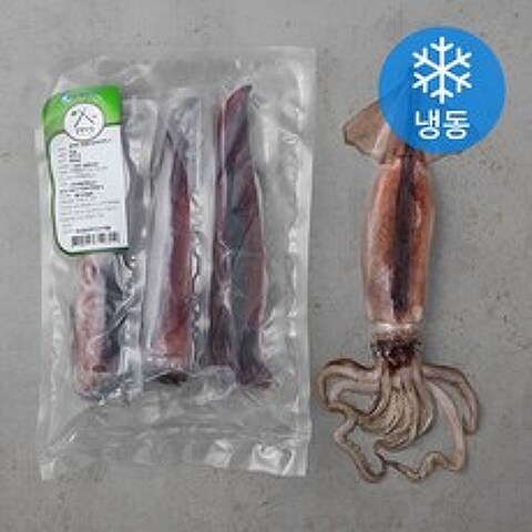 살맛나요 동해안 찜용 오징어 3미 국산비축품 (냉동), 450g, 1팩