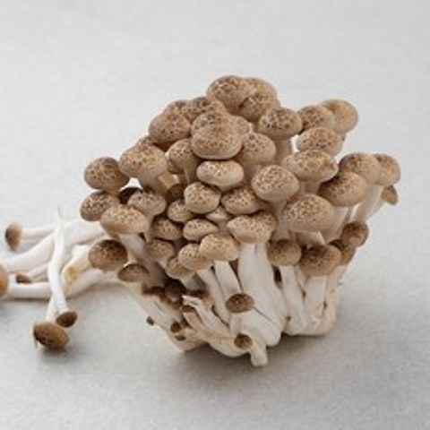 친환경 인증 국내산 만가닥버섯, 150g, 1팩