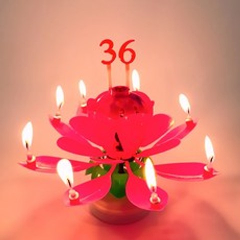 히든템 생일 축하 멜로디 숫자 토퍼 회전 연꽃 케익초 랜덤발송, 기타향, 6개
