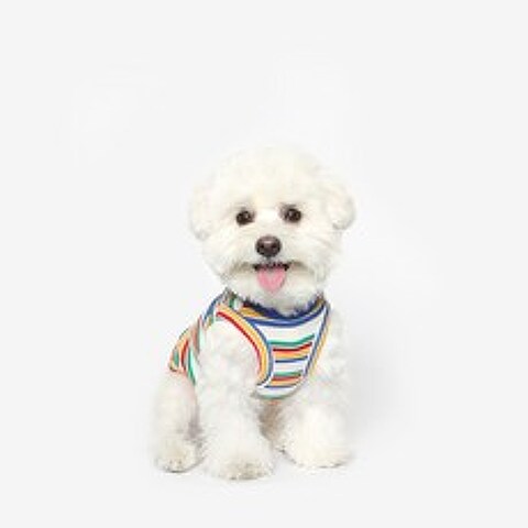투스투스 강아지 스트라이프 민소매 티셔츠, 멀티