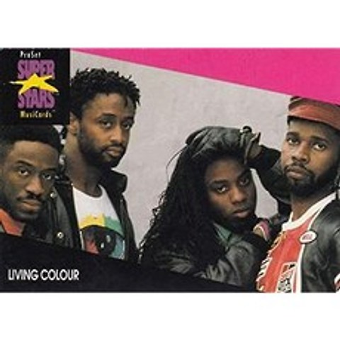 1991 Pro Settars Moyards Nonsport # 201 Living Color 공식 라이센스 표준 크기 표준 크기 무역 카드 음악 기록의 가장 큰 슈퍼 스타 중 일부, 본상품, 본상품