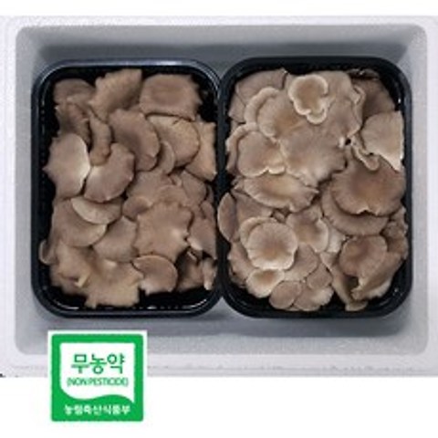 나는야버섯농부 [산지직송] 고기느타리(육타리) 2팩, 1박스