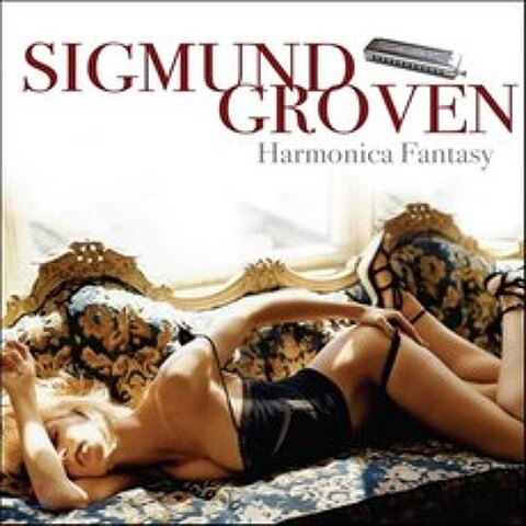 Sigmund Groven 하모니카로 듣는 영화음악 클래식 팝선율 - 지그문트 그로븐 (Harmonica Fantasy)