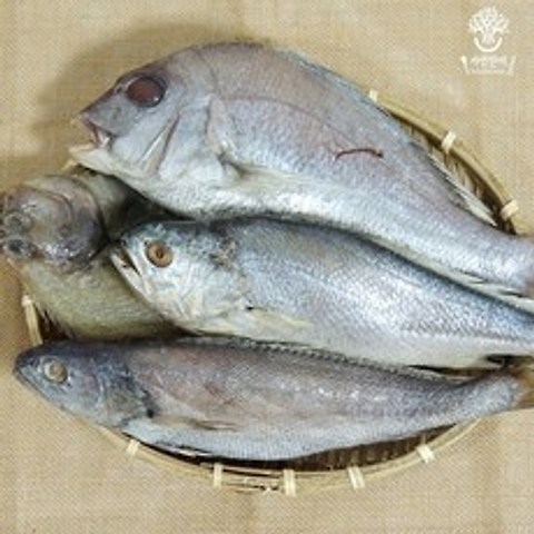 [자연한끼] 삼천포 알뜰 반건조 제수 생선 모듬, 1세트