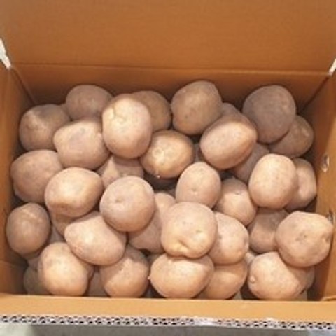 2020년 감자 두백감자 중사이즈 20kg 10kg, 1박스