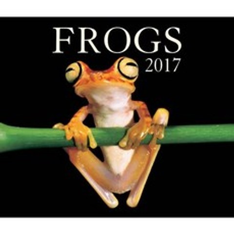 개구리 2017, 단일옵션