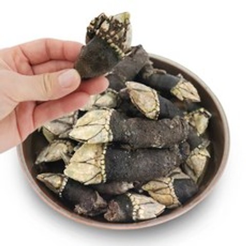 [착한어부] 자연산 거북손 1kg (냉동), 상세 설명 참조