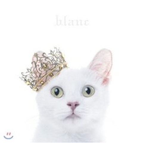 Aimer - Best Selection 