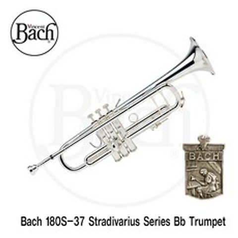 바하 Bb 트럼펫 - 스트라디바리우스 시리즈 180S-37 LT/LT스타/LR, LT