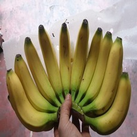 가람상점 일반 델몬트 고당도 바나나 13kg 한박스, 일반 바나나 6수(유니,자연왕국,만나기타등등) 13kg, 1박스