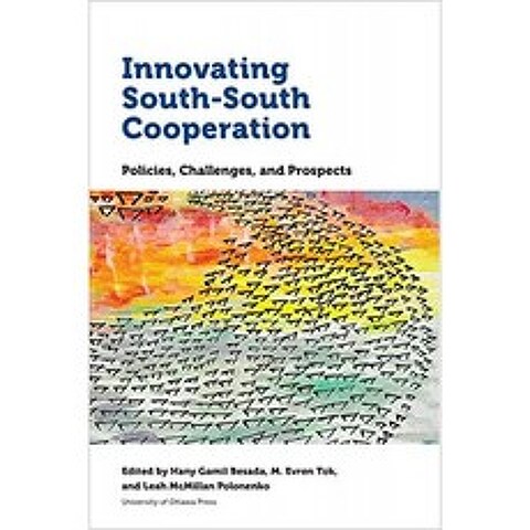 남남 협력 혁신 : 정책 도전 및 전망 (국제 개발 및 세계화 연구), 단일옵션, 단일옵션