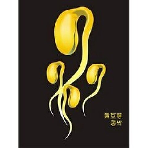 [신중국식품]콩싹. 노란콩싹. 황떠우야, 250g