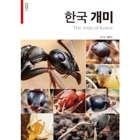 한국 개미, 자연과생태