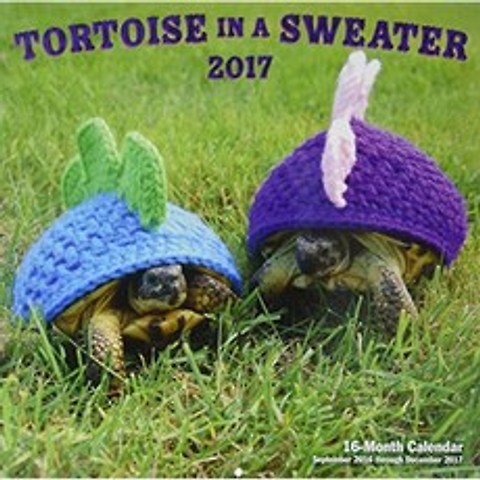 스웨터를 입은 거북이 2017 : 16 개월 달력 2016 년 9 월부터 2017 년 12 월까지, 단일옵션