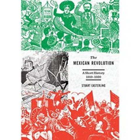 멕시코 혁명 : 짧은 역사 1910-1920, 단일옵션