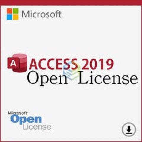 마이크로소프트 2019 Access 라이센스