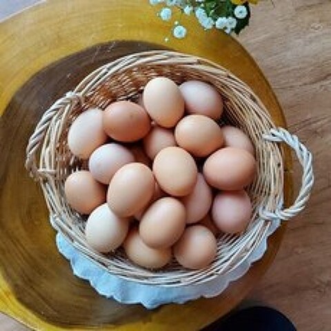 [연호농장 달걀] 신선 계란 생계란 날계란 특란 30구, 특란 × 60구(3600g이상)