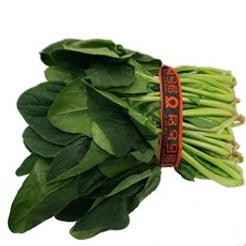 (신선) 시금치 spinach 1단 국내산