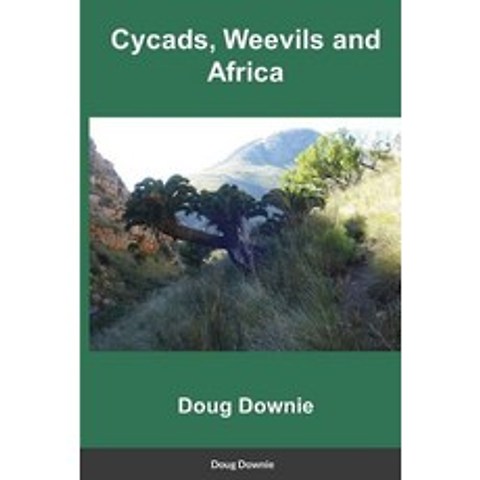 (영문도서) Cycads Weevils and Africa Paperback, Lulu.com, English, 9781008947726