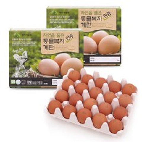 한스팜 자연을 품은 동물복지 인증 계란 20ea x 2, 단품