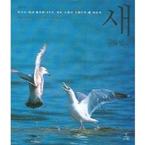 새:한국의 새와 함께한 45년 생태 사진가 유범주의 새 이야기, 사이언스북스